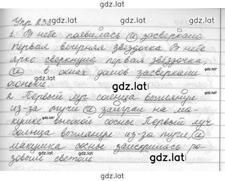 Решение задания № 238 — страница 1