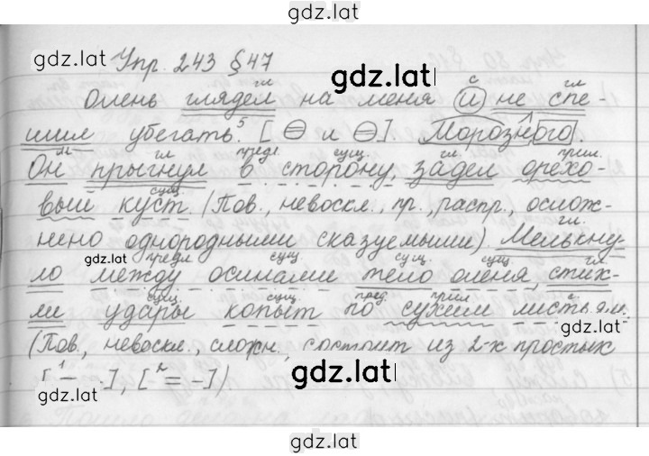 Решение задания № 243 — страница 1