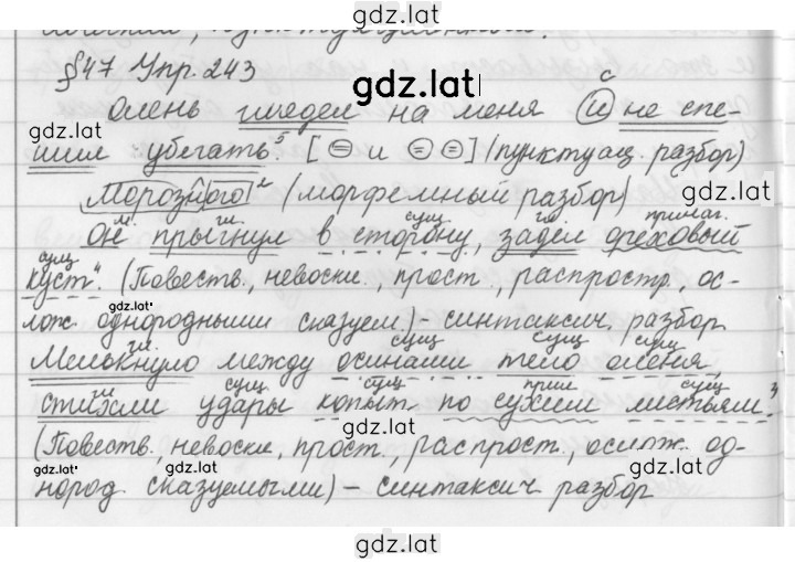 Решение задания № 243 — страница 2