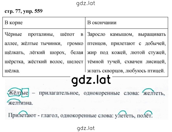 Решение задания № 559 — страница 1