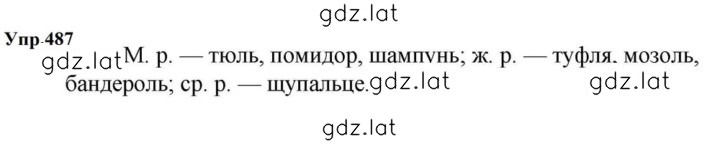 Решение задания № 487 — страница 1