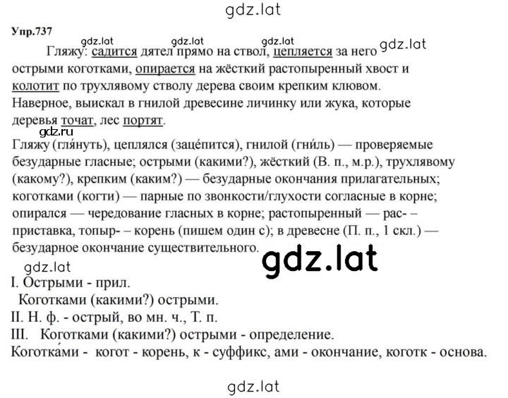 Решение задания № 737 — страница 1