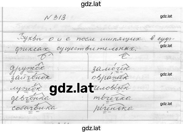 Решение задания № 313 — страница 1