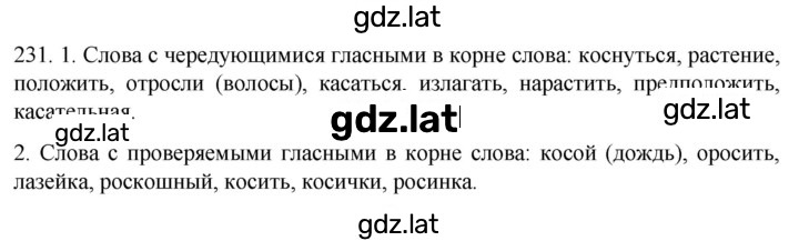 Решение задания № 231 — страница 1