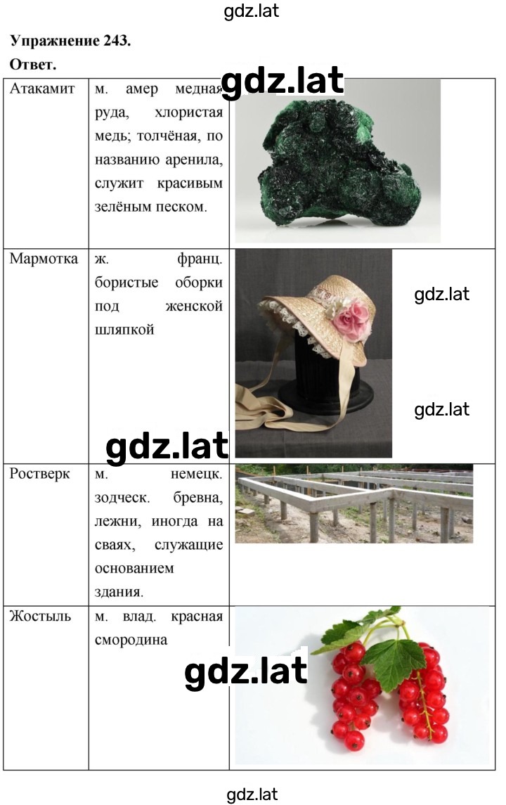 Решение задания № 243 — страница 1