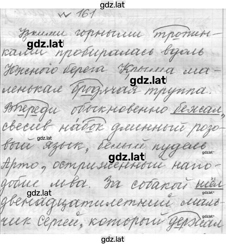 Решение задания № 161 — страница 1