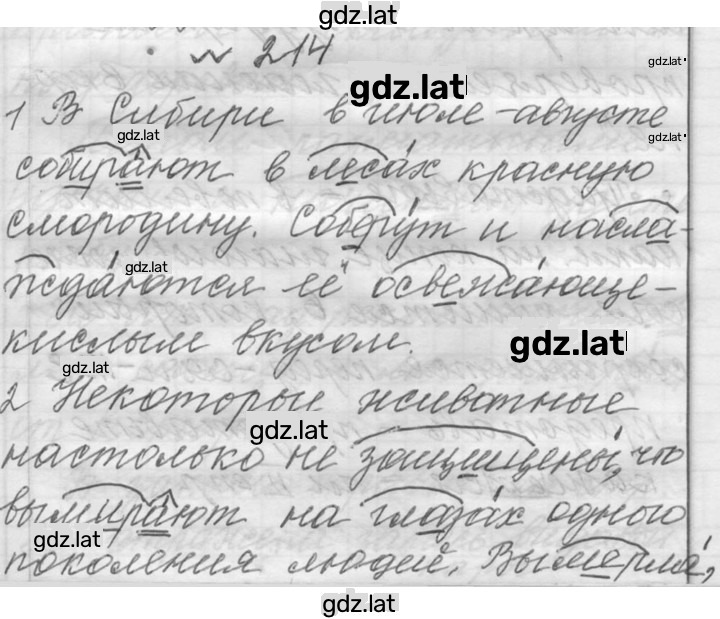 Решение задания № 214 — страница 1