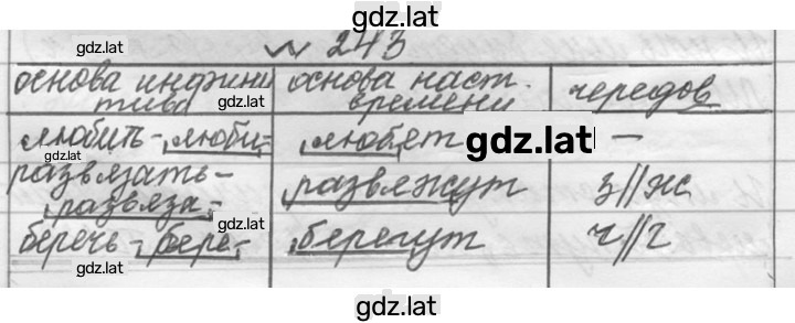 Решение задания № 243 — страница 1