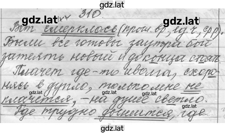 Решение задания № 310 — страница 1