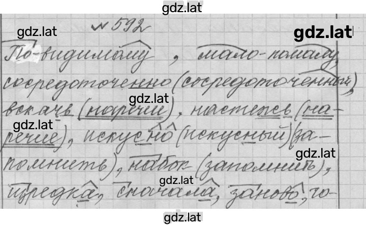 Решение задания № 592 — страница 1