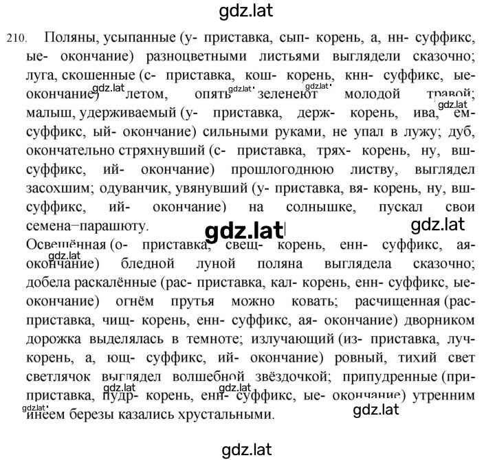 Решение задания № 210 — страница 1