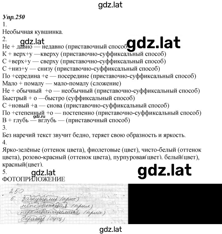 Решение задания № 250 — страница 1