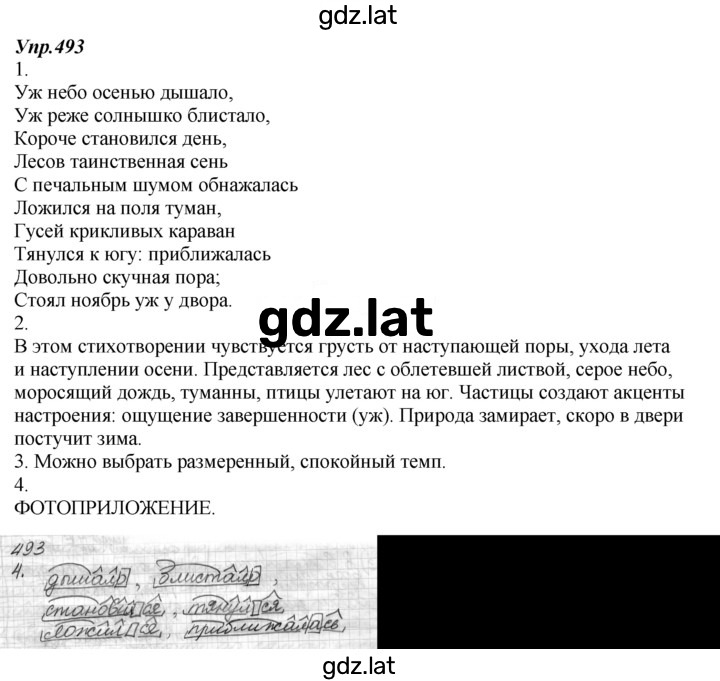 Решение задания № 493 — страница 1