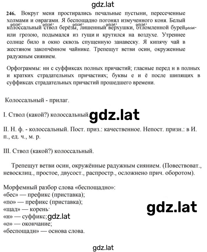 Решение задания № 246 — страница 1