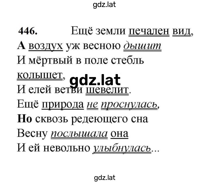 Решение задания № 446 — страница 1