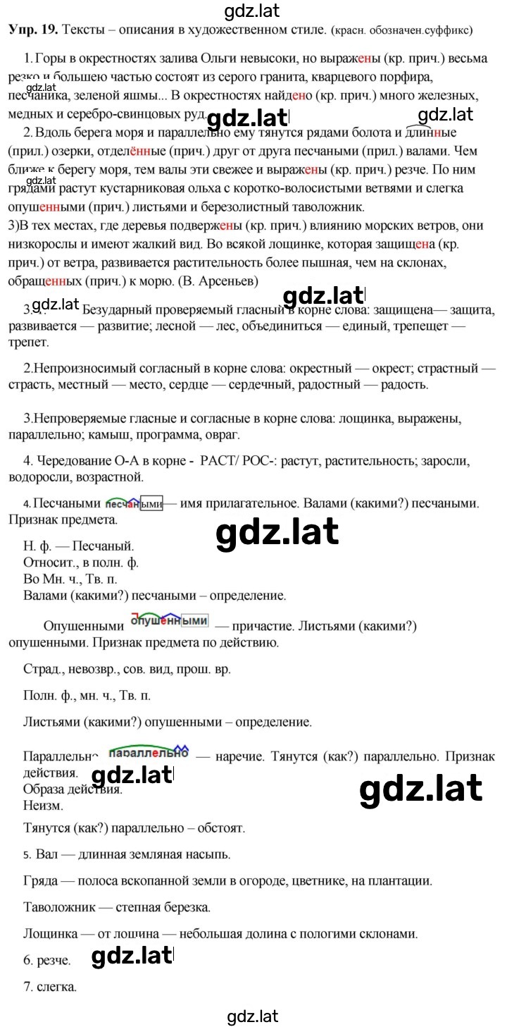 Решение задания № 19 — страница 1