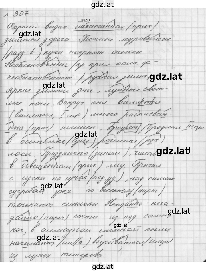 Решение задания № 307 — страница 2