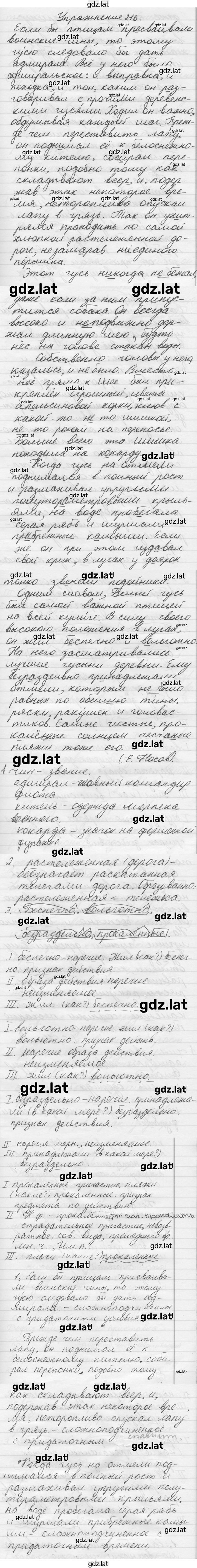 Решение задания № 216 — страница 1