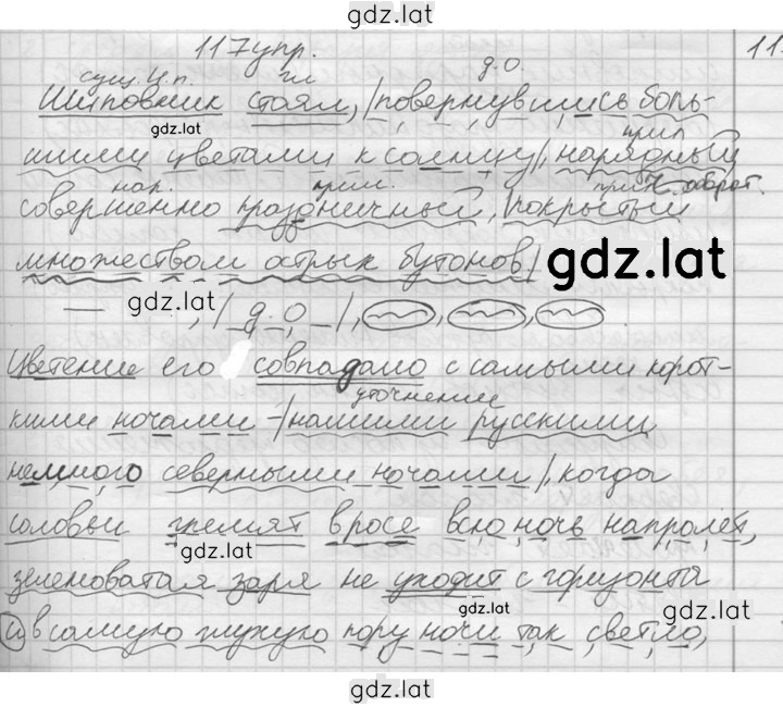 Решение задания № 117 — страница 2