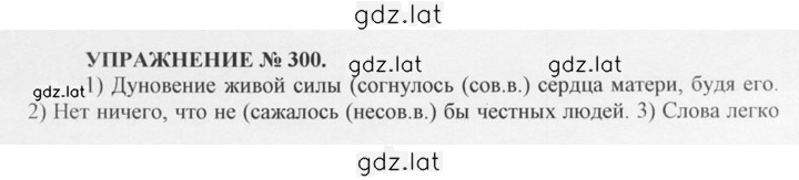 Решение задания № 300 — страница 1