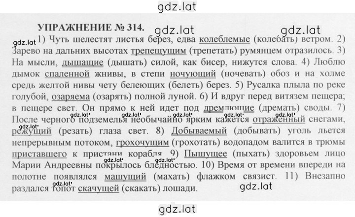 Решение задания № 314 — страница 1