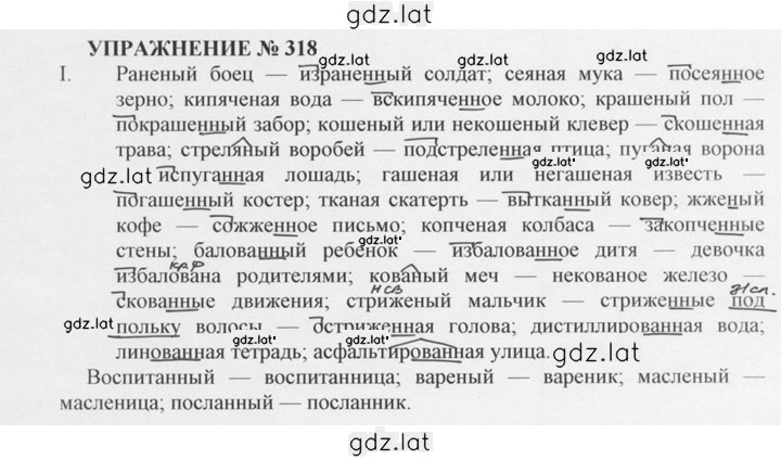 Решение задания № 318 — страница 1