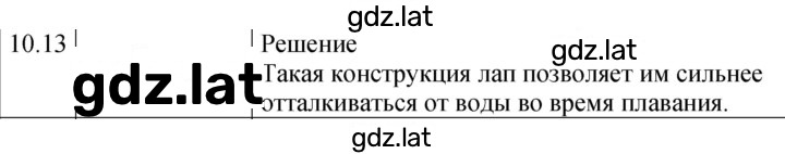 Решение задания № 10.13 [206] — страница 1