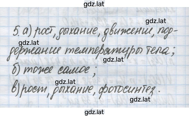 Решение задания № 5 — страница 1