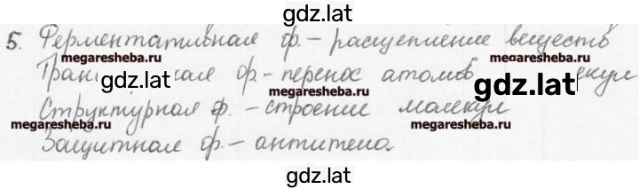 Решение задания № 5 — страница 1