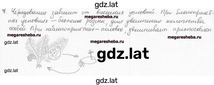 Решение задания № 7 — страница 1