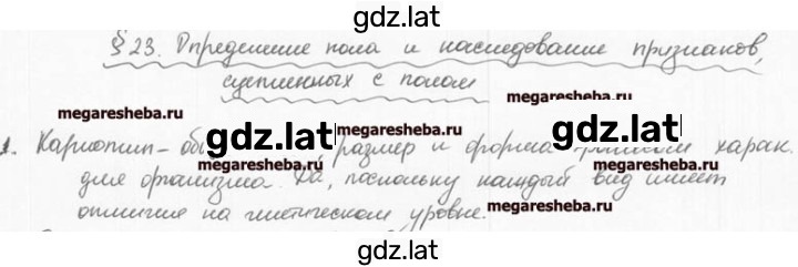 Решение задания № 1 — страница 1