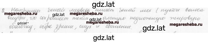 Решение задания № 5 — страница 1