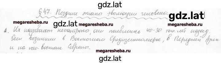 Решение задания № 1 — страница 1