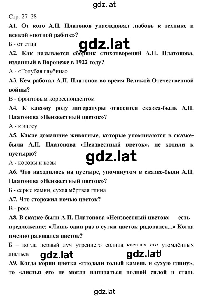 Решение задания № 27 — страница 1
