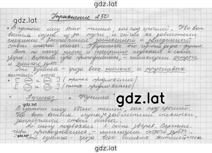 Решение задания № 250 — страница 1