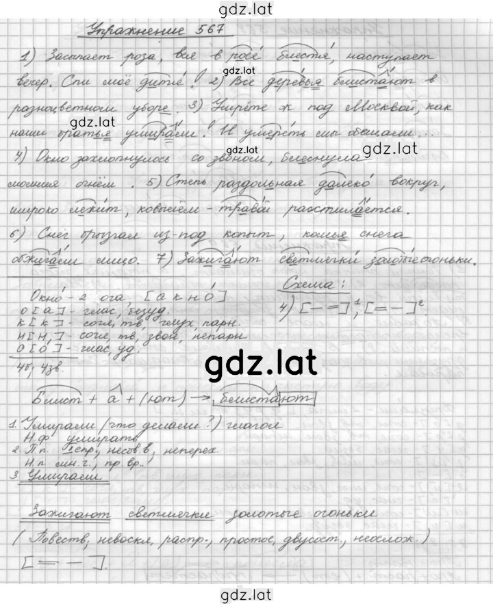 Решение задания № 567 — страница 1