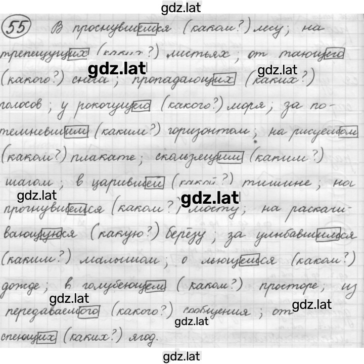Решение задания № 55 — страница 1