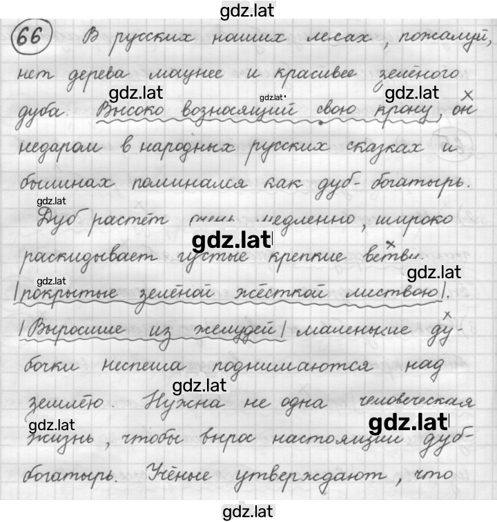 Решение задания № 66 — страница 1