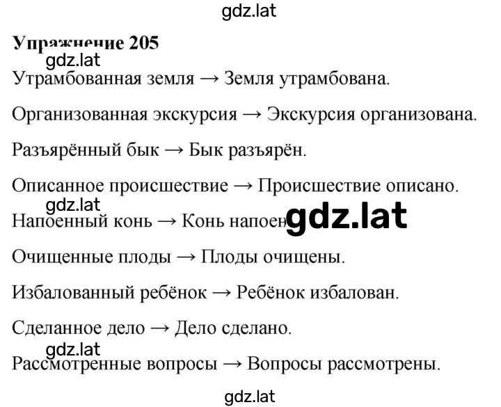 Решение задания № 205 — страница 1