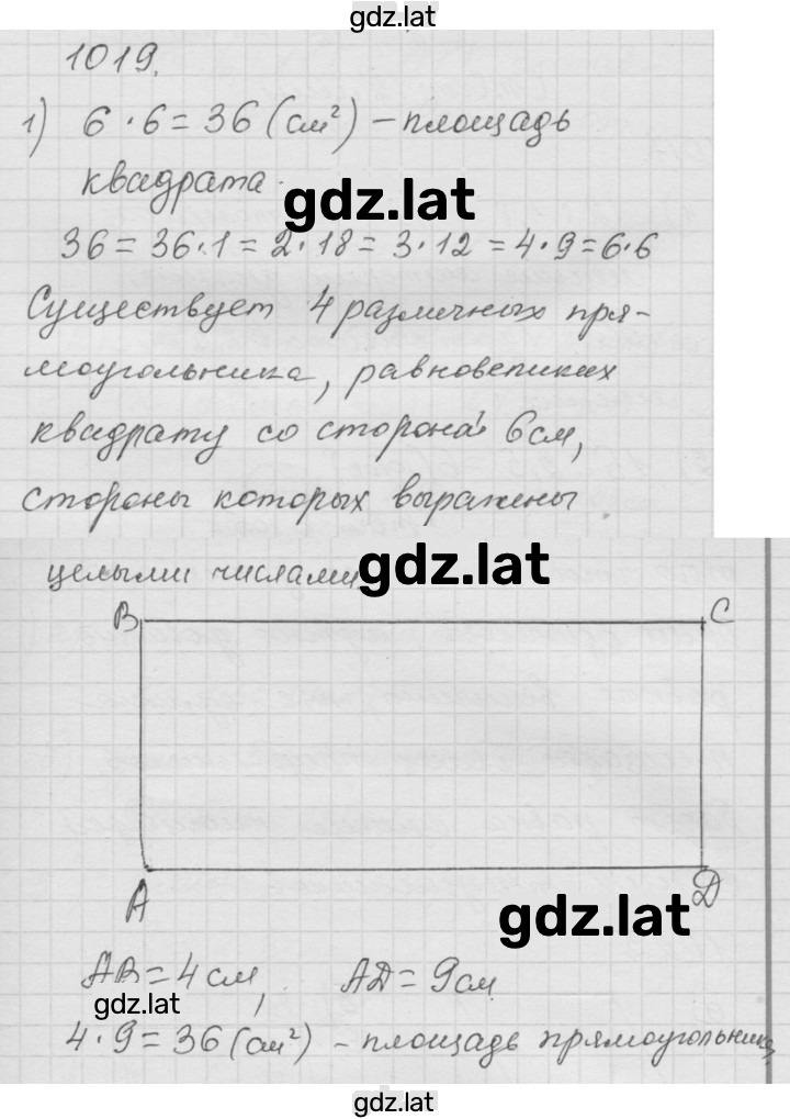 Решение задания № 1019 — страница 1