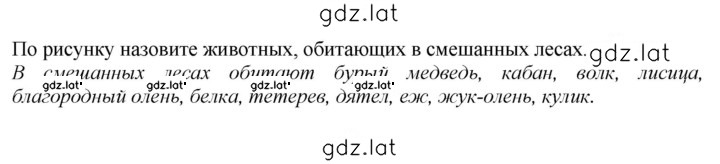 Решение задания № стр. 246 — страница 1