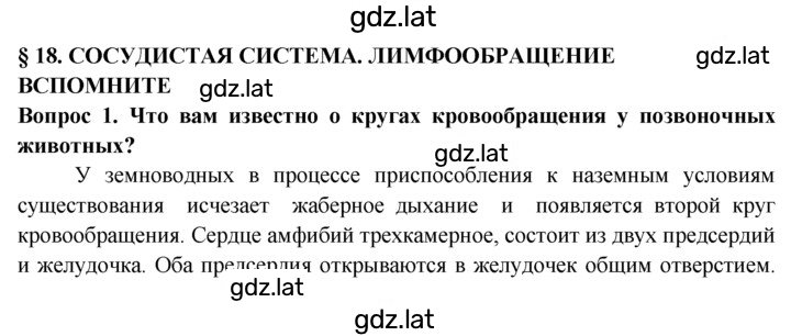 Решение задания № 1 — страница 1
