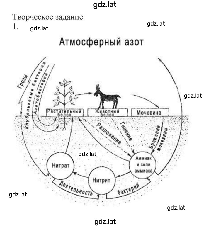 Решение задания № стр. 143 — страница 2