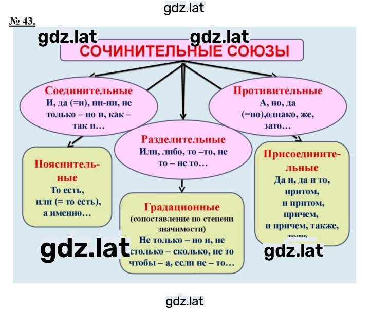 Решение задания № 43 — страница 1