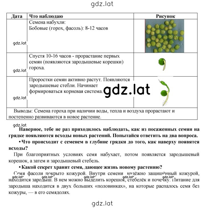 Решение задания № § 14 — страница 2