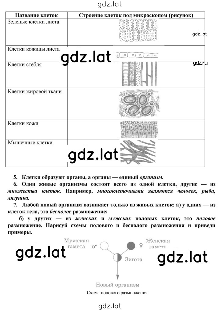 Решение задания № § 28 — страница 2