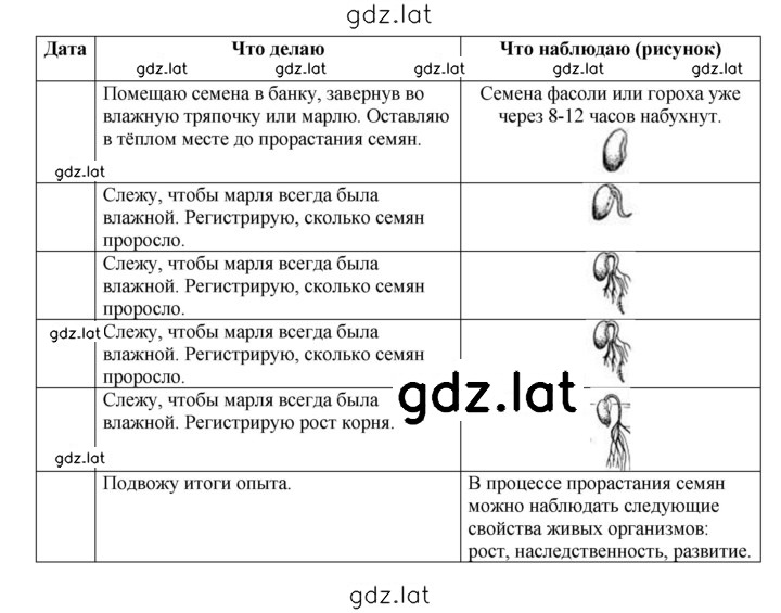 Решение задания № § 4 — страница 2