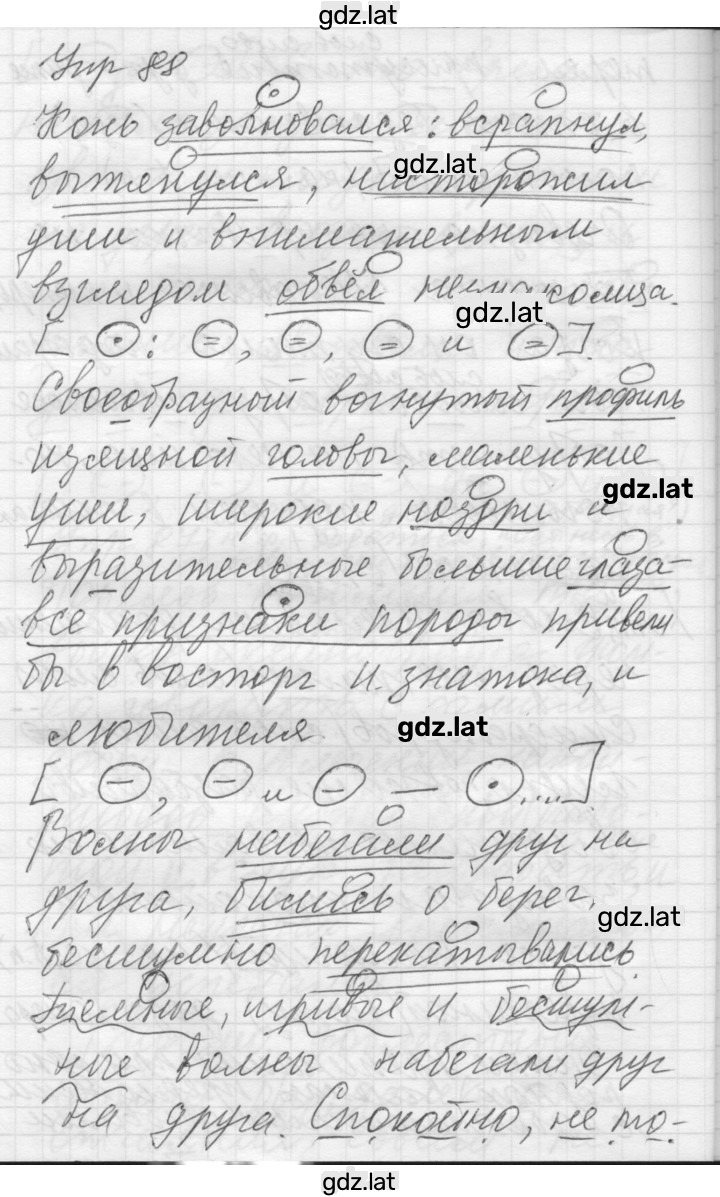 Решение задания № 88 — страница 1