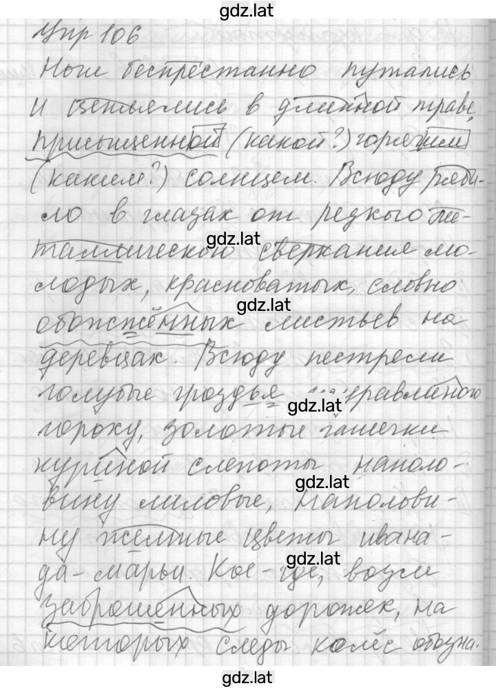 Решение задания № 106 — страница 1