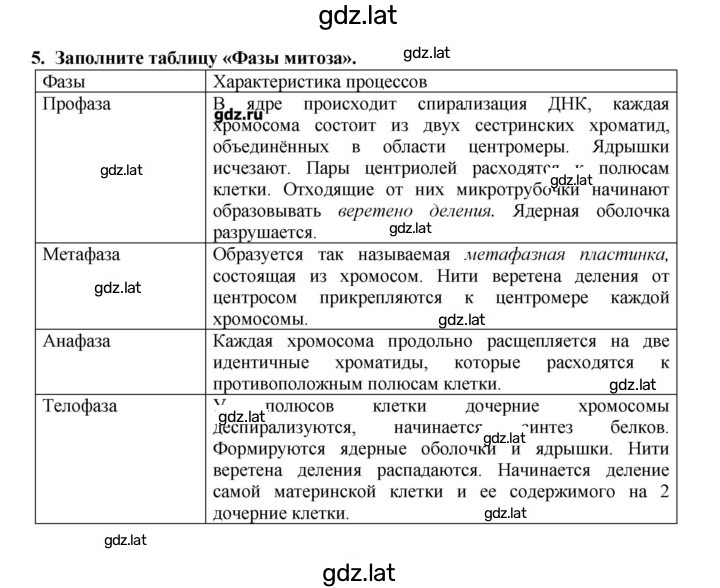 Решение задания № 5 — страница 1
